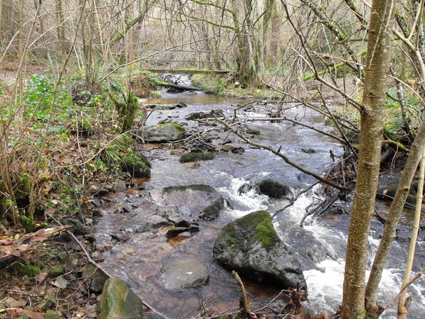 Cours D'eau