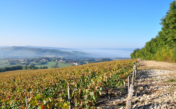 Montagny-lès-Buxy